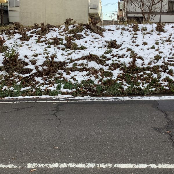 真冬の訪問風景